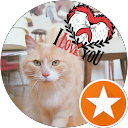 Tiphaine GUENEGOU profile picture