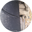 Camille profile picture